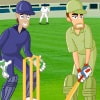 Watchful Eye Game - Cricket Games