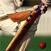 Quick cricket Game - Cricket Games