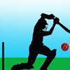 World Cup Practice Cricket Game - Cricket Games